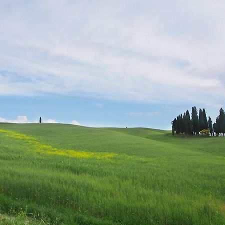 Agriturismo Santa Maria Torrita di Siena Eksteriør billede