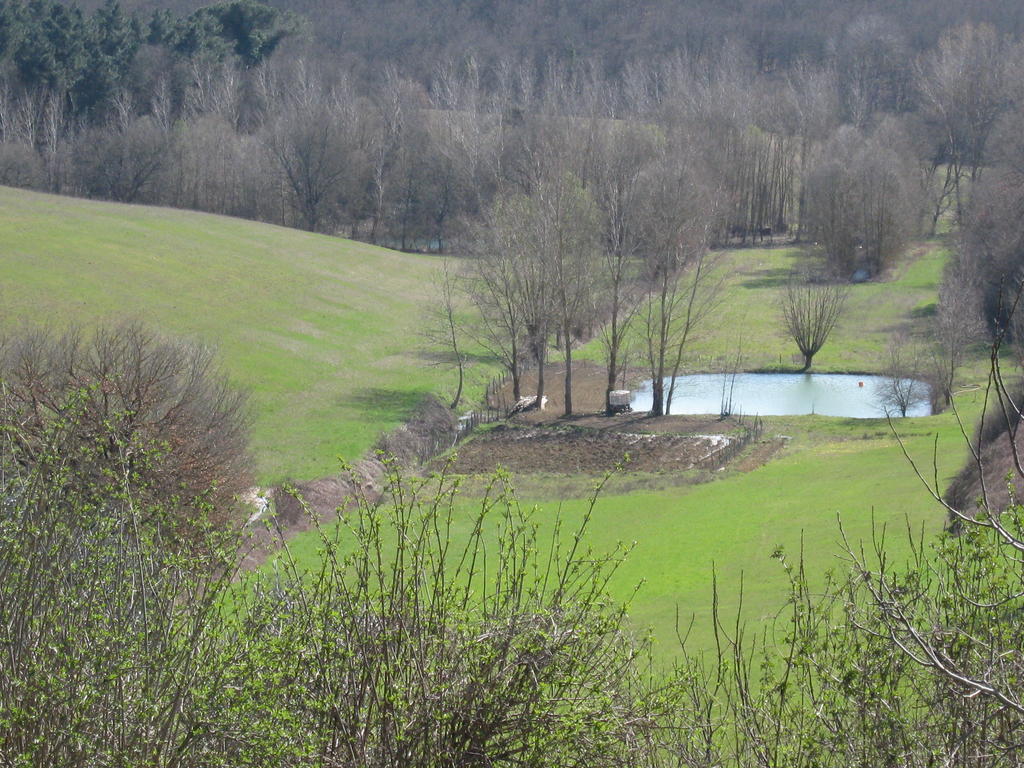 Agriturismo Santa Maria Torrita di Siena Eksteriør billede