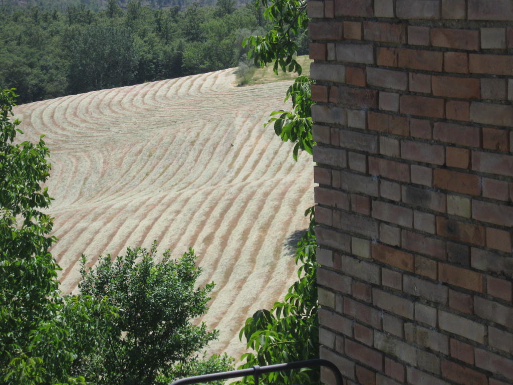 Agriturismo Santa Maria Torrita di Siena Eksteriør billede