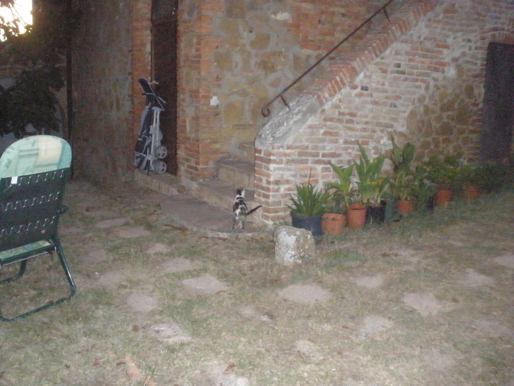Agriturismo Santa Maria Torrita di Siena Eksteriør billede