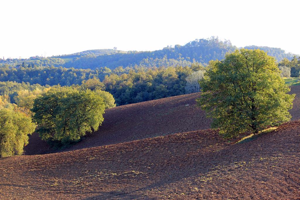 Agriturismo Santa Maria Torrita di Siena Eksteriør billede