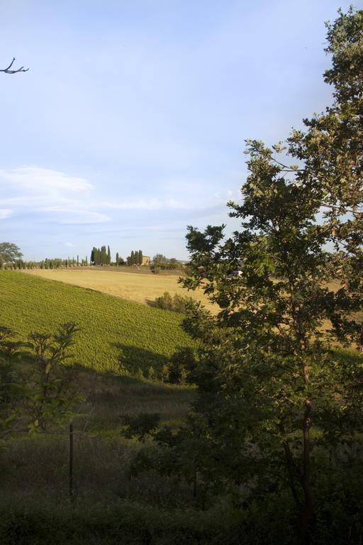 Agriturismo Santa Maria Torrita di Siena Eksteriør billede