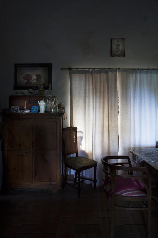 Agriturismo Santa Maria Torrita di Siena Eksteriør billede