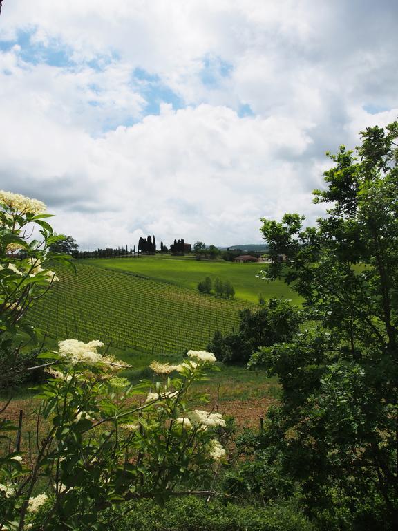 Agriturismo Santa Maria Torrita di Siena Eksteriør billede